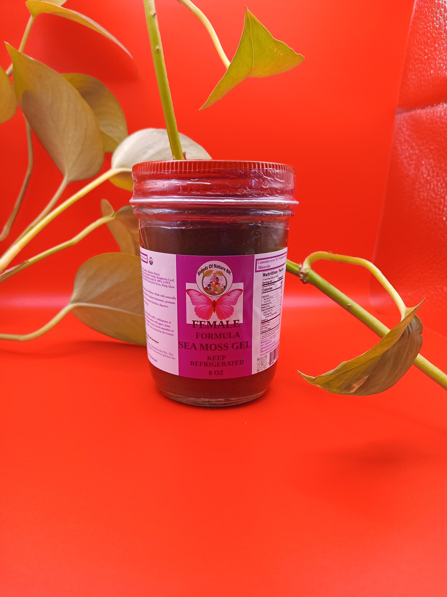 SEA MOSS GELS:  MINIMUM ORDER 12 PIECES. ORDERS NOT MEETING THE MINIMUM REQUIREMENTS WILL NOT BE PROCESSED.
